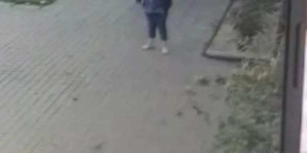 Ultimele clipe din viaţa Corneliei