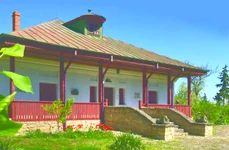 Conacul Negruzzi din lunca Prutului (foto: Muzeul Național al Literaturii Române Iași)