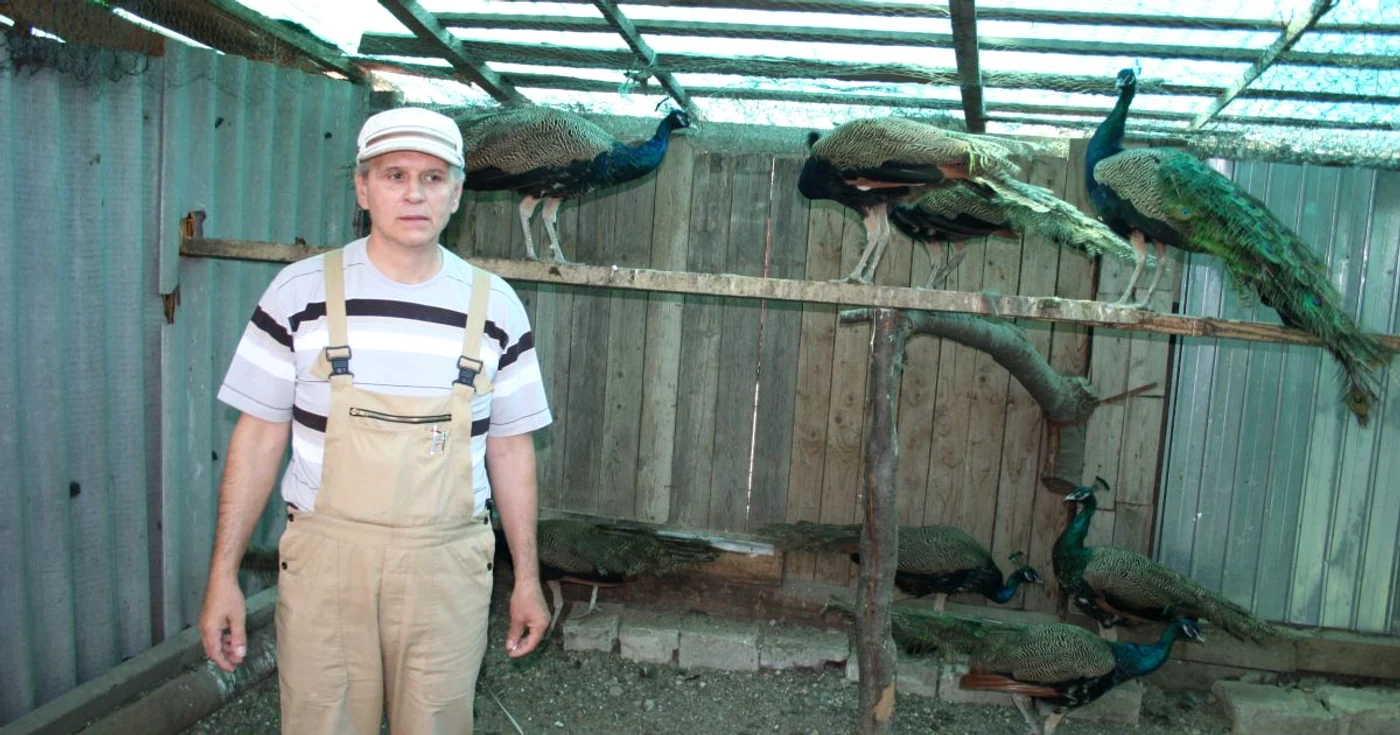 Laurenţiu Chelmu creşte păsări de rasă pe care le vinde FOTO Ştefan Borcea