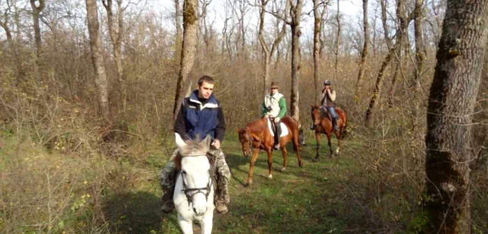 Plimbările călare sunt gestionate de Pony Club Arad FOTO Adevărul