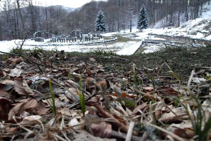 Cetatea dacică a inrat în conservare. FOTO: D.G.