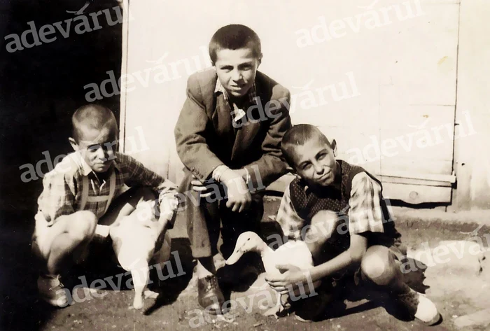 Micul Mircea, dreapta, cu rața în mână. În stânga este Gelu, fratele mai mic FOTO Colecția personală