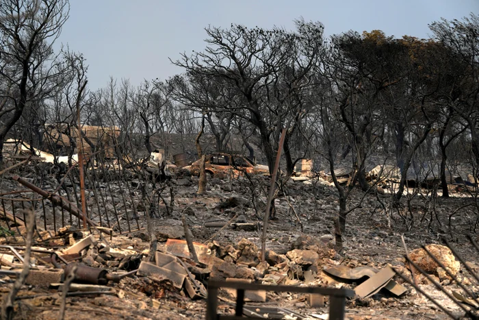 Incendii Grecia FOTO Profimedia