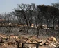 Incendii masive de vegetație în Grecia FOTO Profimedia