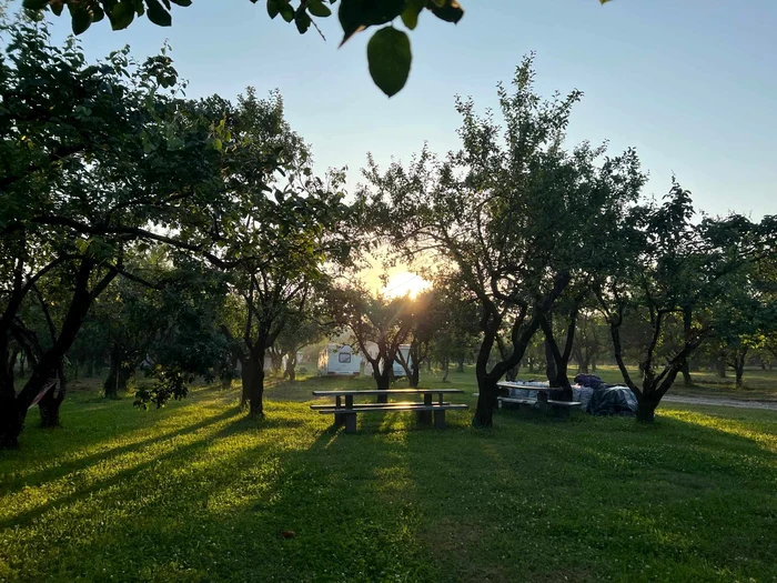 Mutat la Țară Fest - un eveniment în mijlocul naturii Foto: Andy Hertz
