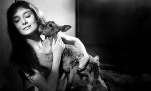 Audrey Hepburn, 1958 jpeg