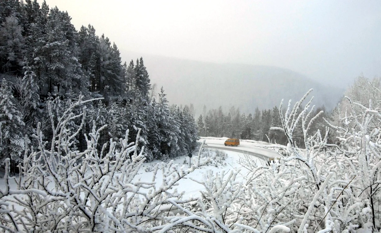 Putin
dă gratis 614 milioane de hectare. În Siberia
