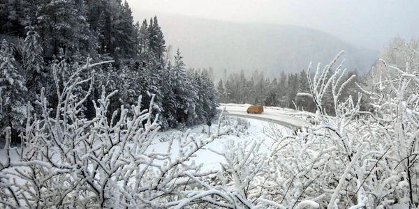 siberia