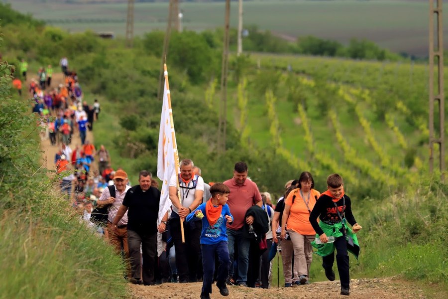 Drumeție pentru pace. 11 kilometri pe jos, de la Buziaș la Silagiu, prin vie. La misiune au participat peste 250 de persoane din 11 țări