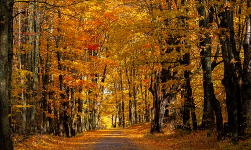 pomfret vermont jpg