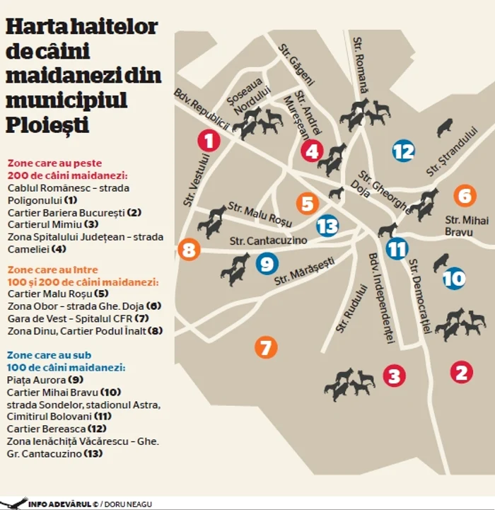 Harta haitelor de maidanezi