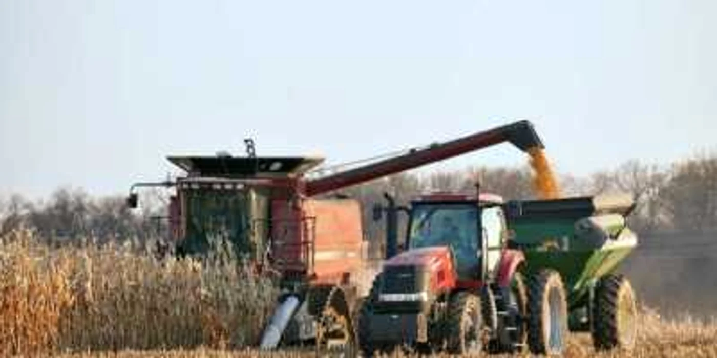 Agricultorii susţin că schimbările bruşte de temperatură ar putea afecta culturile FOTO Adevărul