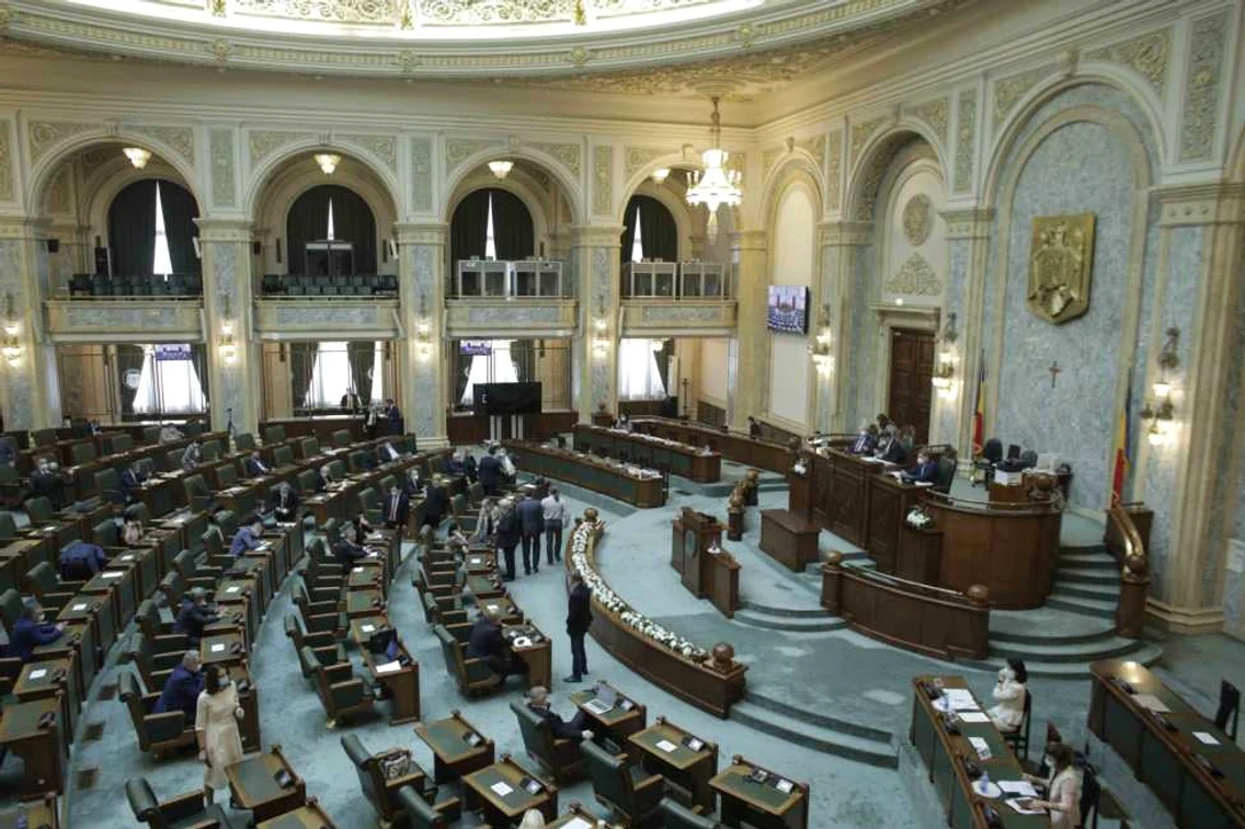 Moţiune simplă împotriva ministrului Muncii Violeta Alexandru FOTO Inquam Photos / Octav Ganea