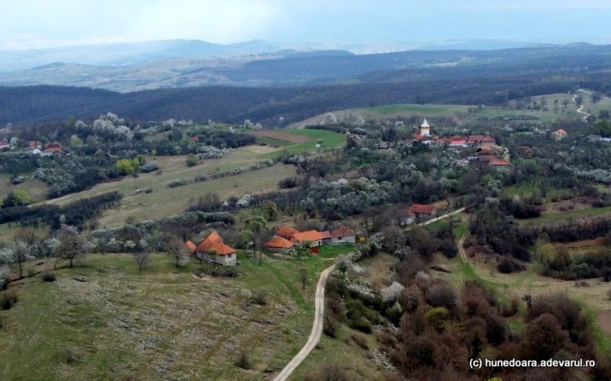 satul cutin dumbrava ciulpaz foto daniel guta adevarul