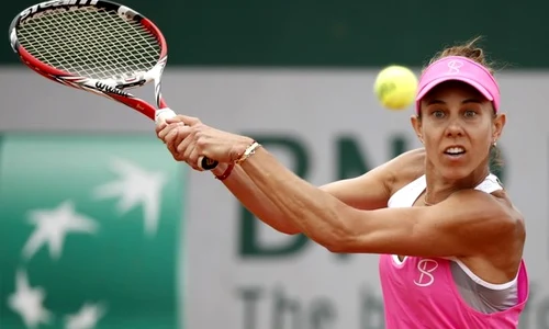buzarnescu jpeg