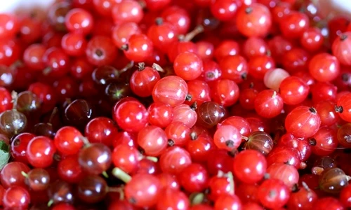 1 62443 original jpg jpeg