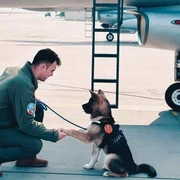 650836468 1241108221477613 4322597123868266636 n jpg