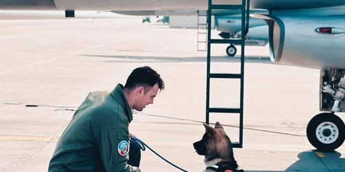 650836468 1241108221477613 4322597123868266636 n jpg