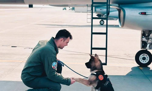 650836468 1241108221477613 4322597123868266636 n jpg