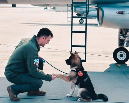 650836468 1241108221477613 4322597123868266636 n jpg