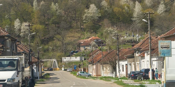 Vascau foto Bihoreanul jpg