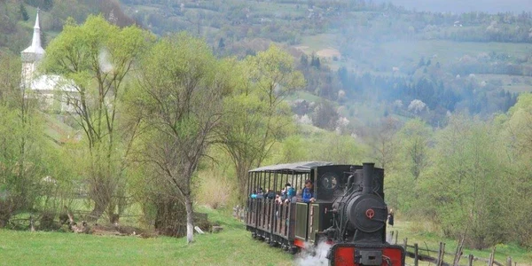 mocanita apuseni