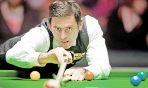 CLIIMA20120508 0070 1 jpeg