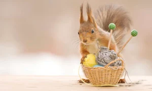 24 foto3 135 170 hepta 3761367 jpeg