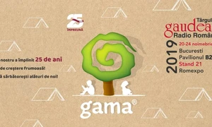 Editura Gama, un sfert de secol de poveste și educație jpeg