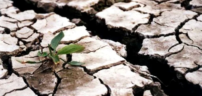 Seceta pârjoleşte România FOTO Adevărul