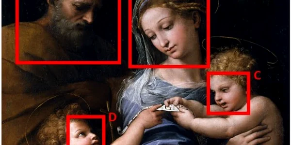 Rafael Madonna della Rosa heritagesciencejournal webp