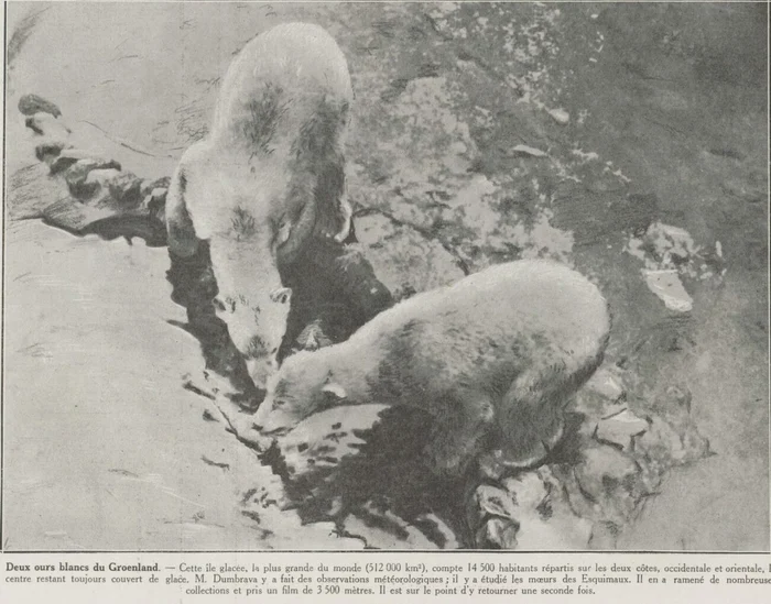 Săbăticie FOTO Le Monde