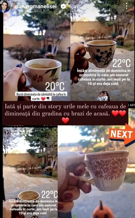 Mesaje postate de Oana Roman Foto: captură video 