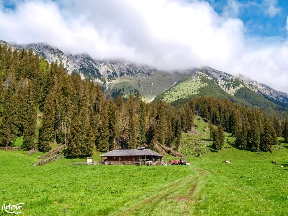 dambovicioara piatra craiului