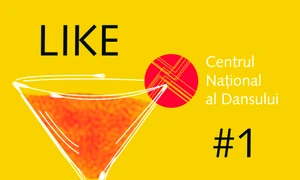 A doua ediție a festivalului Like CNDB#1 jpeg