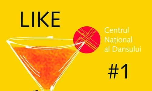 A doua ediție a festivalului Like CNDB#1 jpeg