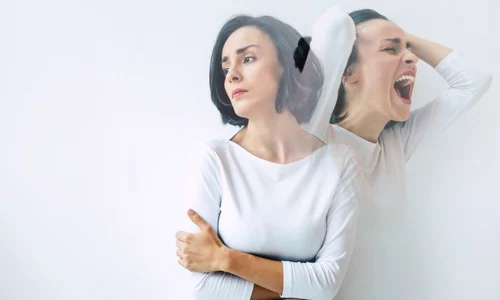 2 shutterstock 1704827095 1 jpg jpeg