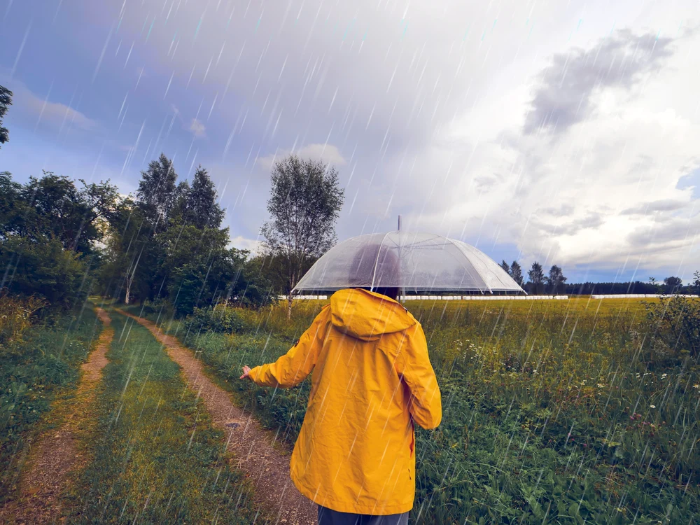 Temperaturile au scăzut la nivel record FOTO Shutterstock