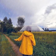 Ploaie de vară, vară friguroasă FOTO Shutterstock 