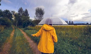 Ploaie de vară, vară friguroasă FOTO Shutterstock