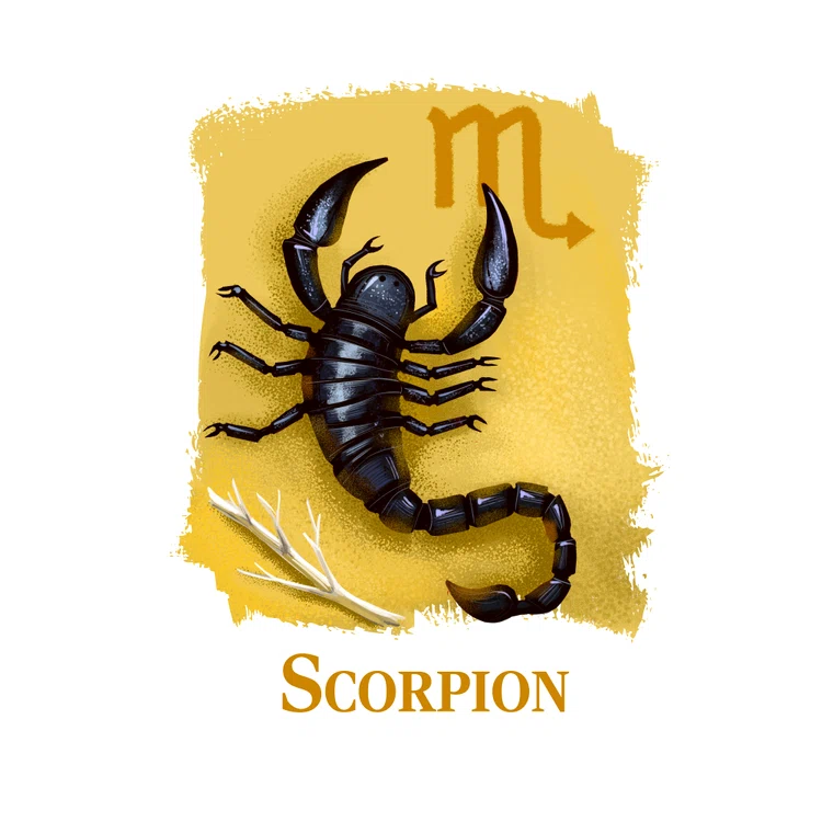 Zodia Scorpion: 23 octombrie - 22 noiembrie