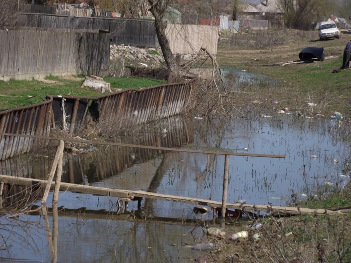 Bani pentru diguri FOTO Arhivă Adevărul
