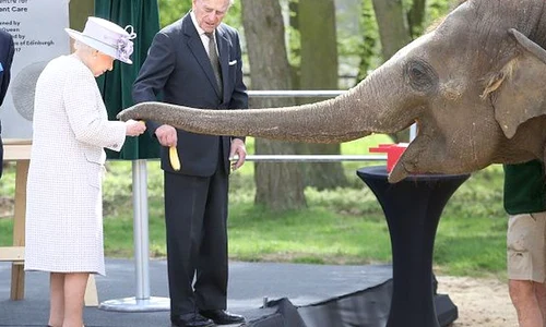 Regina Elisabeta, întâlnire emoționantă cu un elefant jpeg