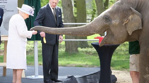 Regina Elisabeta, întâlnire emoționantă cu un elefant jpeg