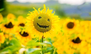 horoscop zilnic 25 august jpeg