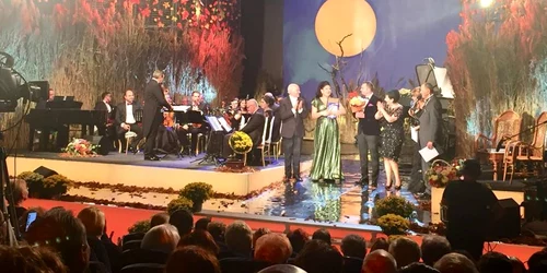 nicoleta vasile crizantema de aur 2018