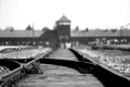 birkenau 402324 1280 jpg