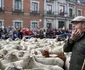 Sărbătoarea Transhumanței Madrid 23 octombrie 2022 Foto EPA EFE