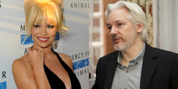 pamela anderson julian assange 