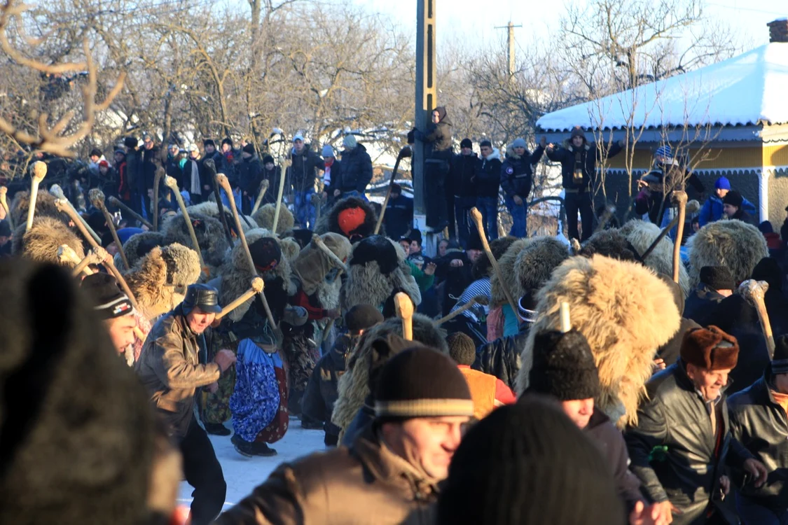 Tinerii din Ruginoasa s-au pregătit cu ciomege pentru a se confrunta în ajun de An Nou Foto: Adevărul